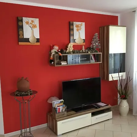 Schwarzkopf * 穆金根